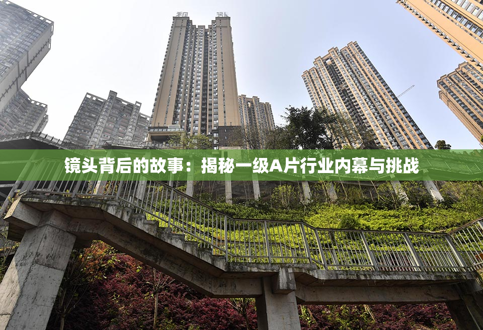 镜头背后的故事：揭秘一级A片行业内幕与挑战