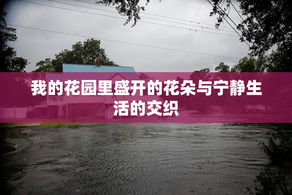 我的花园里盛开的花朵与宁静生活的交织