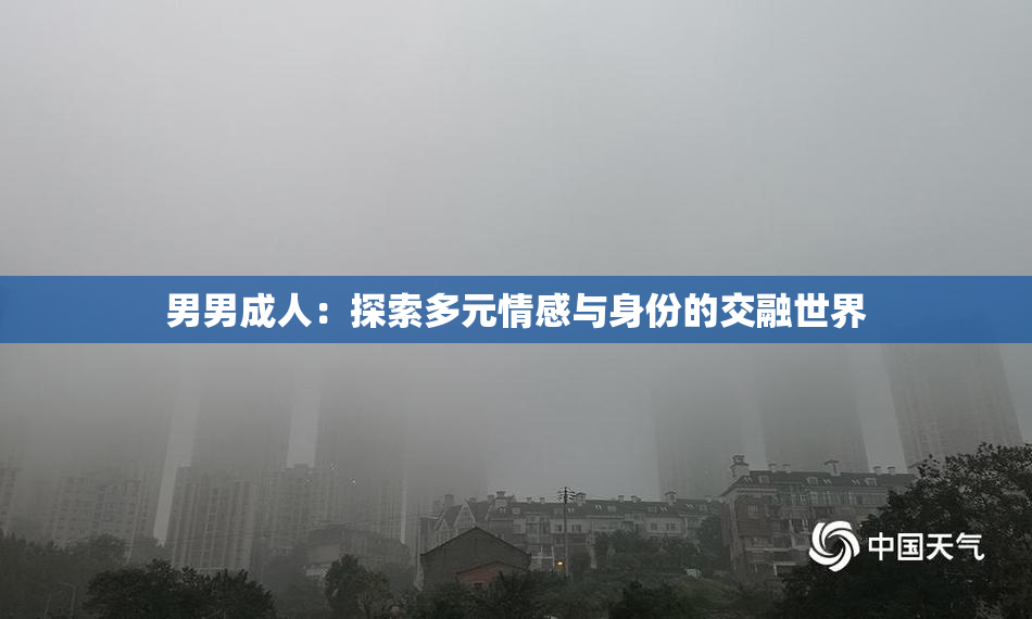 男男成人：探索多元情感与身份的交融世界