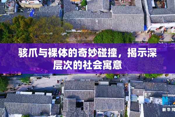 骇爪与裸体的奇妙碰撞，揭示深层次的社会寓意