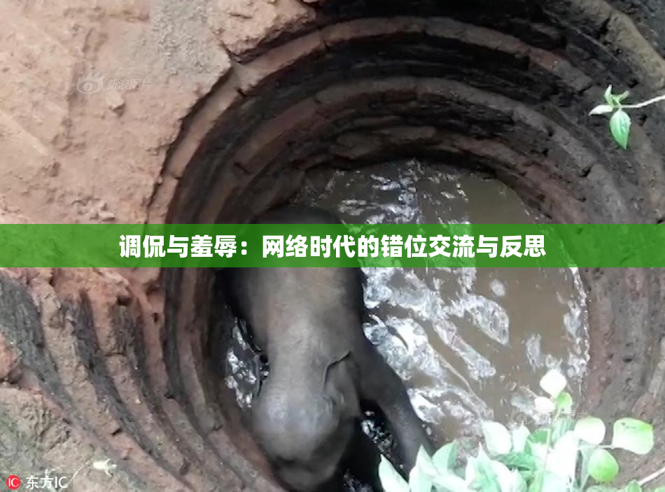 调侃与羞辱：网络时代的错位交流与反思