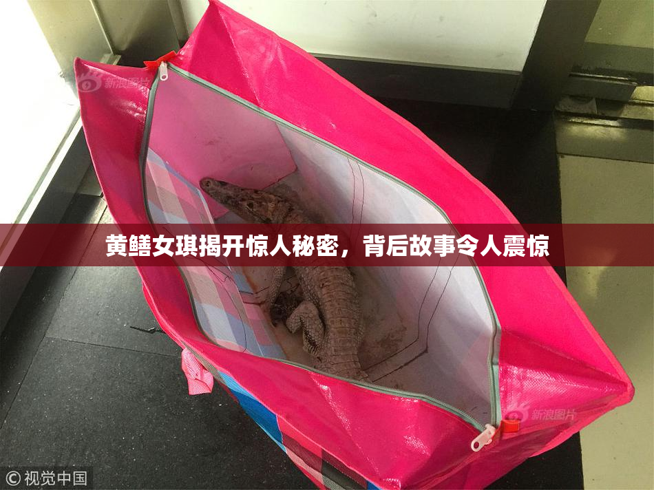 黄鳝女琪揭开惊人秘密，背后故事令人震惊