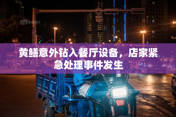 黄鳝意外钻入餐厅设备，店家紧急处理事件发生