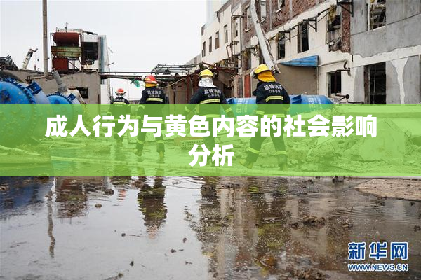 成人行为与黄色内容的社会影响分析