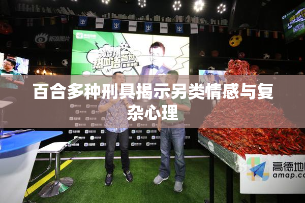 百合多种刑具揭示另类情感与复杂心理