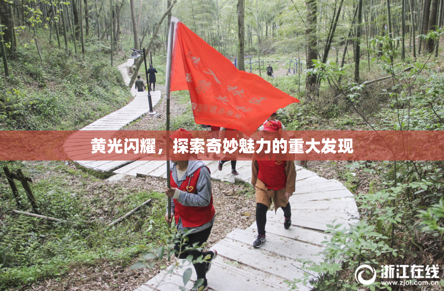 黄光闪耀，探索奇妙魅力的重大发现