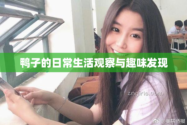 鸭子的日常生活观察与趣味发现