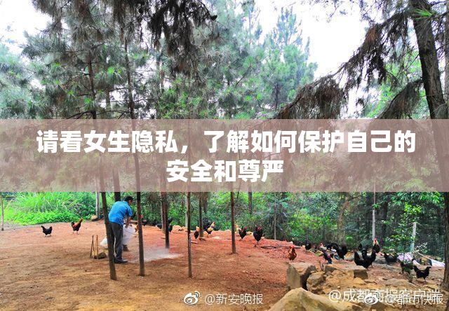 请看女生隐私，了解如何保护自己的安全和尊严