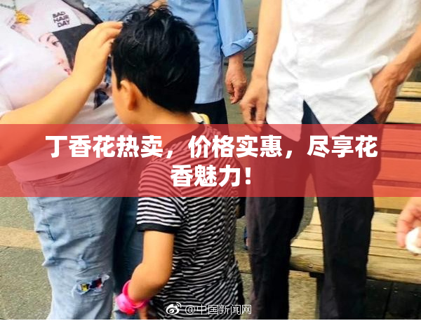 丁香花热卖，价格实惠，尽享花香魅力！