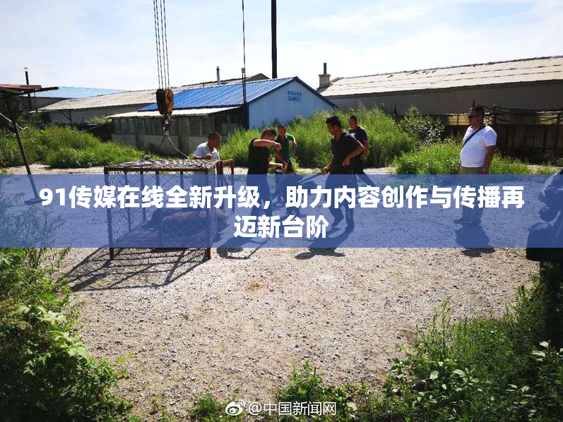 91传媒在线全新升级，助力内容创作与传播再迈新台阶