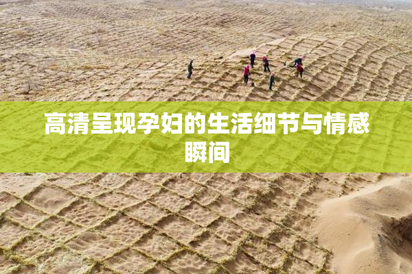 高清呈现孕妇的生活细节与情感瞬间