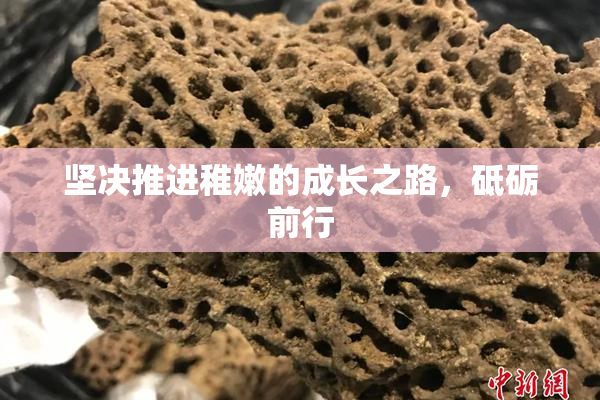 坚决推进稚嫩的成长之路，砥砺前行