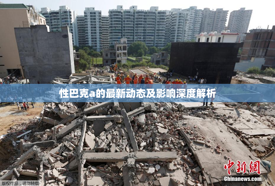 性巴克a的最新动态及影响深度解析