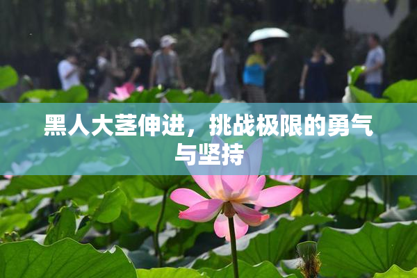 黑人大茎伸进，挑战极限的勇气与坚持