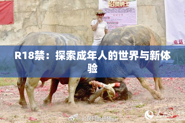 R18禁：探索成年人的世界与新体验