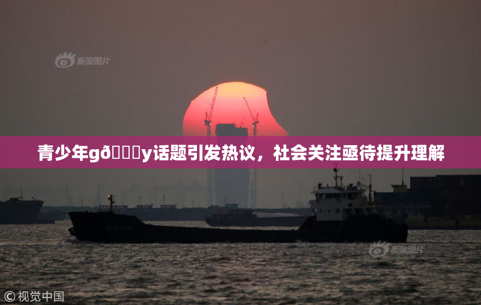 青少年g🈚y话题引发热议，社会关注亟待提升理解
