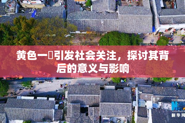 黄色一級引发社会关注，探讨其背后的意义与影响