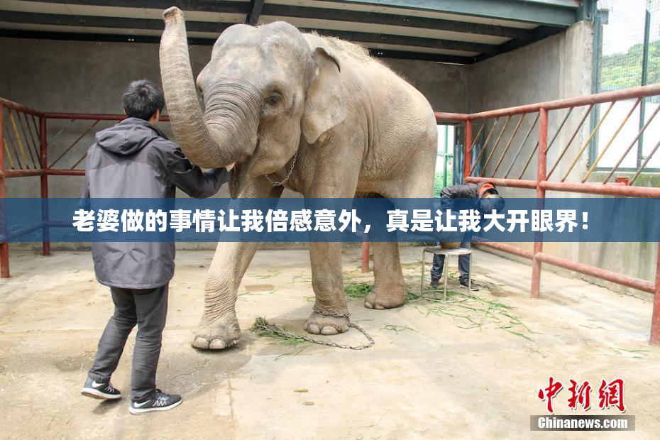 老婆做的事情让我倍感意外，真是让我大开眼界！