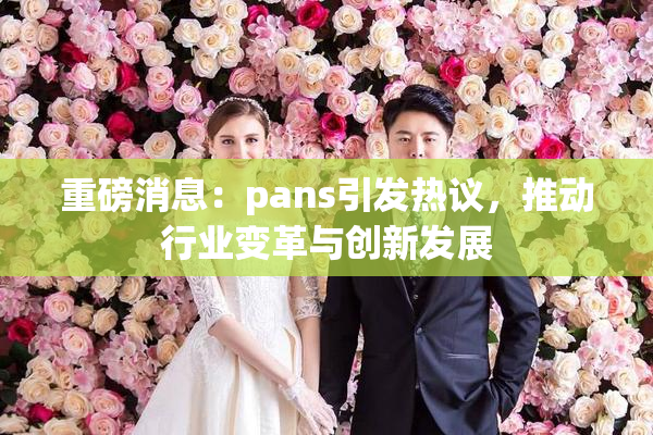 重磅消息：pans引发热议，推动行业变革与创新发展