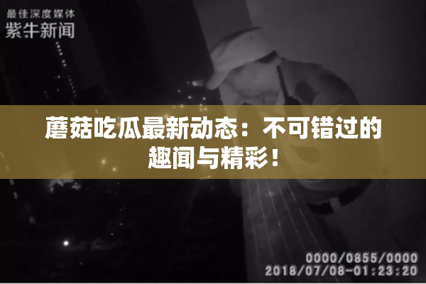 蘑菇吃瓜最新动态：不可错过的趣闻与精彩！