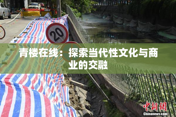青楼在线：探索当代性文化与商业的交融