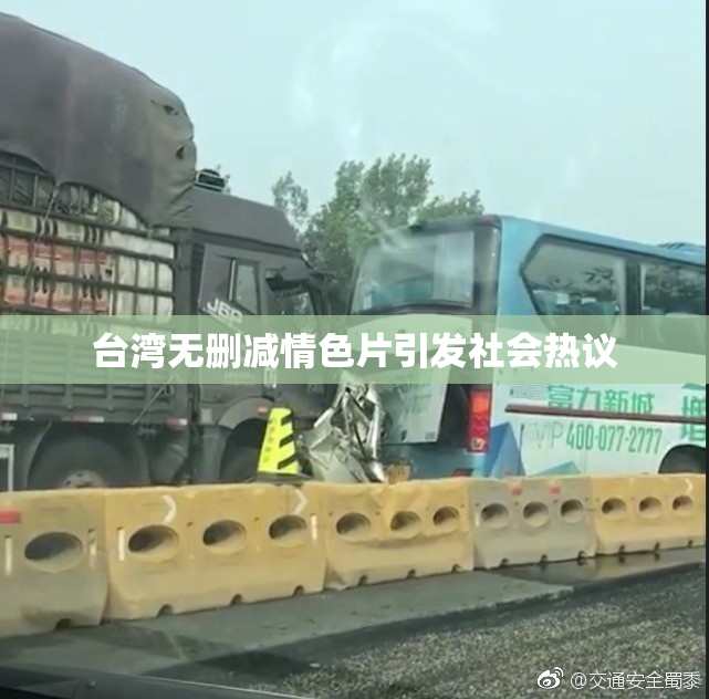 台湾无删减情色片引发社会热议
