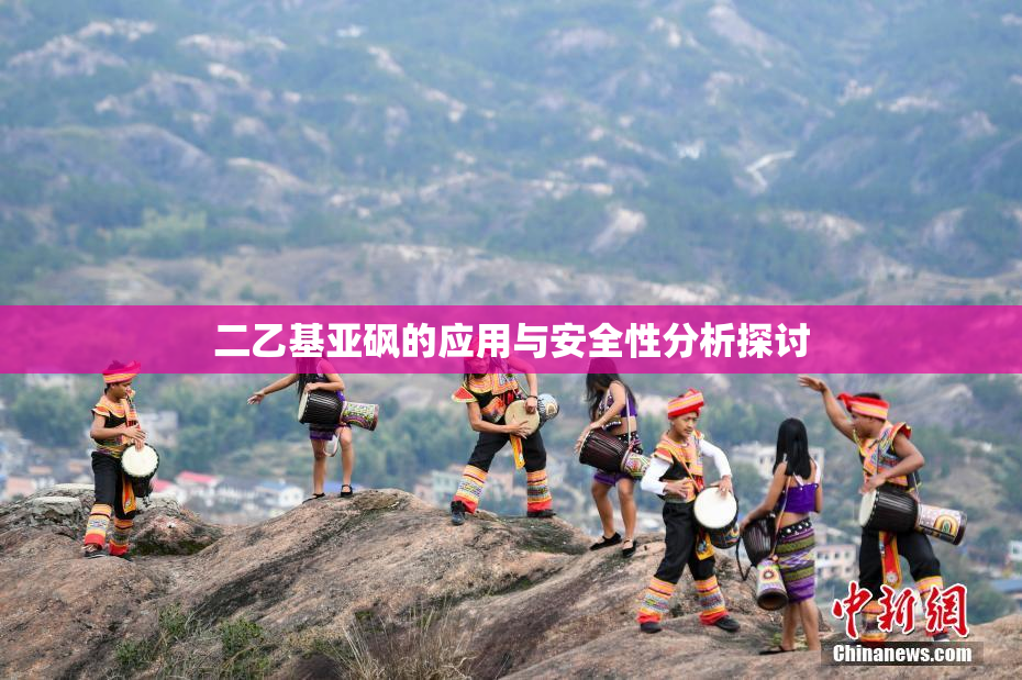 二乙基亚砜的应用与安全性分析探讨