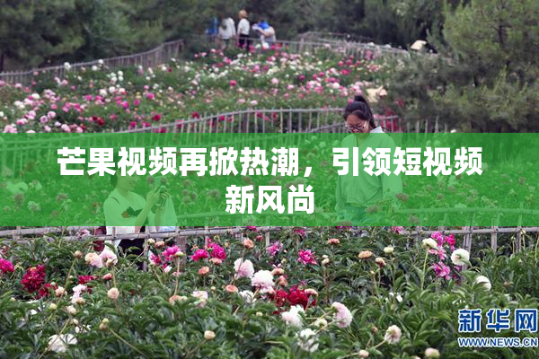 芒果视频再掀热潮，引领短视频新风尚
