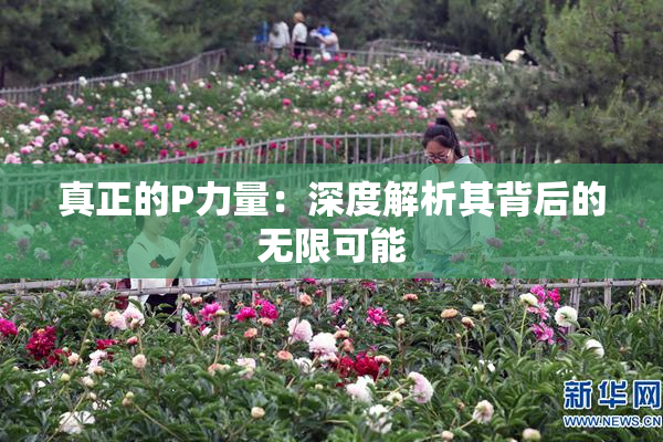 真正的P力量：深度解析其背后的无限可能