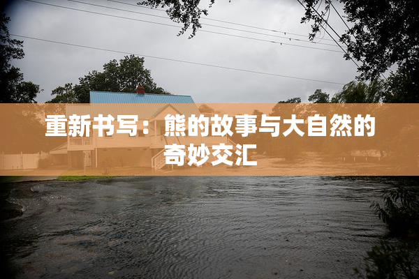 重新书写：熊的故事与大自然的奇妙交汇