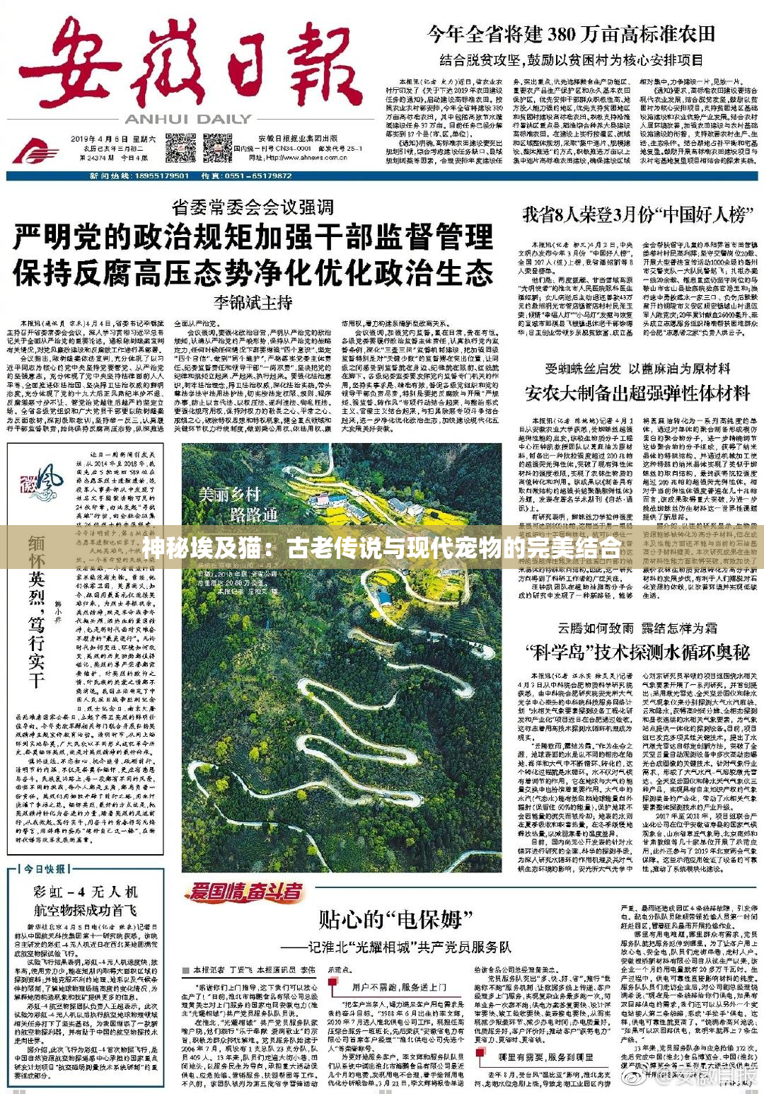 神秘埃及猫：古老传说与现代宠物的完美结合