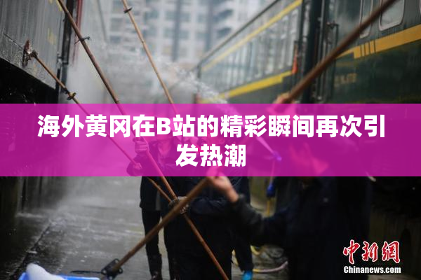 海外黄冈在B站的精彩瞬间再次引发热潮