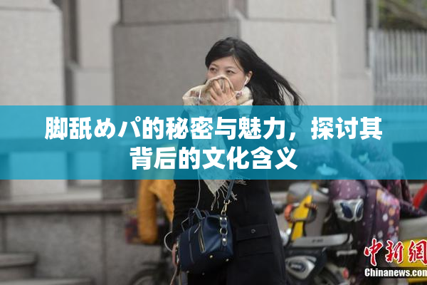 脚舐めパ的秘密与魅力，探讨其背后的文化含义