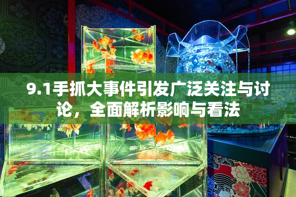 9.1手抓大事件引发广泛关注与讨论，全面解析影响与看法