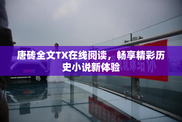 唐砖全文TX在线阅读，畅享精彩历史小说新体验