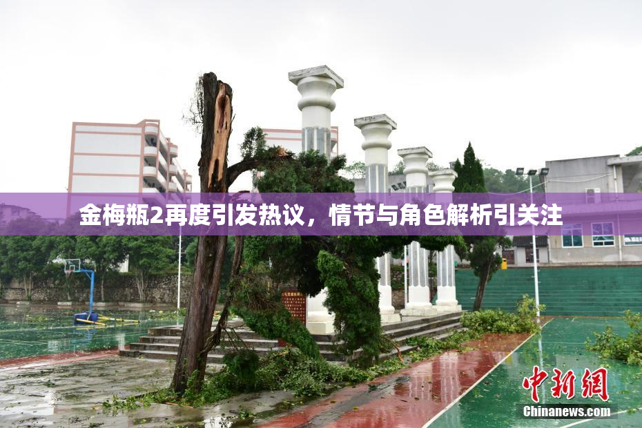 金梅瓶2再度引发热议，情节与角色解析引关注