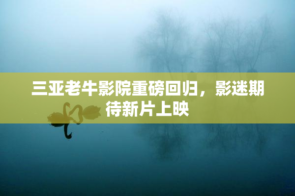 三亚老牛影院重磅回归，影迷期待新片上映