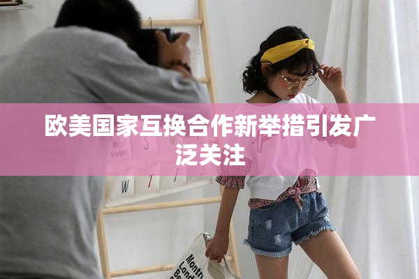 欧美国家互换合作新举措引发广泛关注