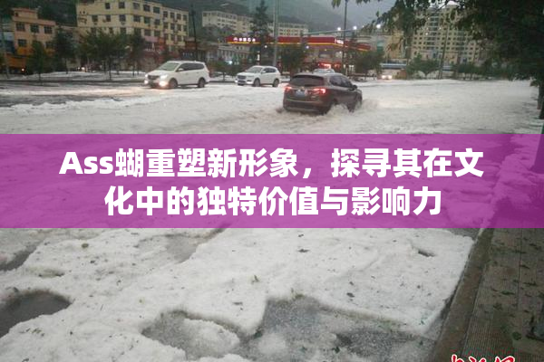 Ass蝴重塑新形象，探寻其在文化中的独特价值与影响力