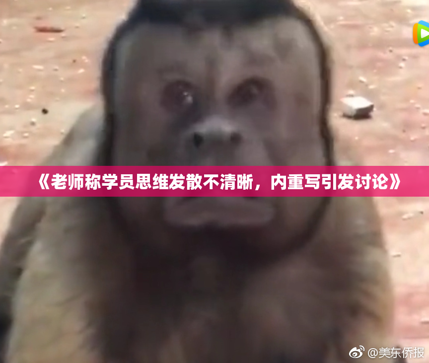 《老师称学员思维发散不清晰，内重写引发讨论》