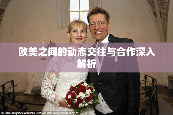 欧美之间的动态交往与合作深入解析