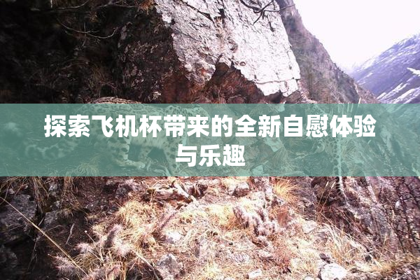 探索飞机杯带来的全新自慰体验与乐趣