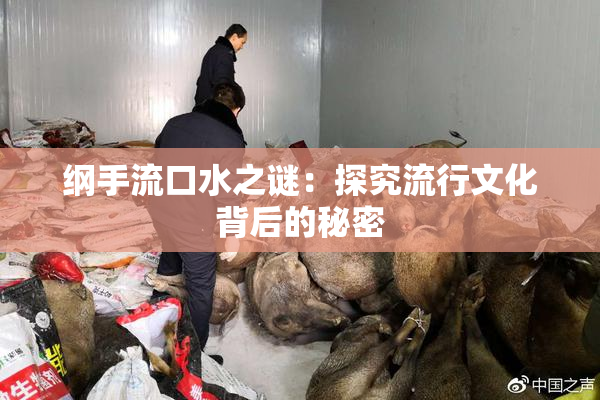 纲手流口水之谜：探究流行文化背后的秘密