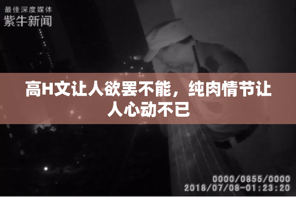 高H文让人欲罢不能，纯肉情节让人心动不已