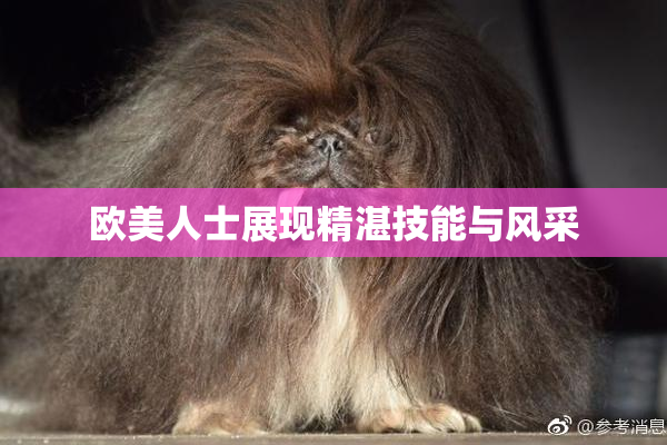 欧美人士展现精湛技能与风采