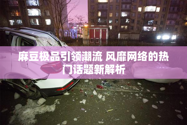 麻豆极品引领潮流 风靡网络的热门话题新解析