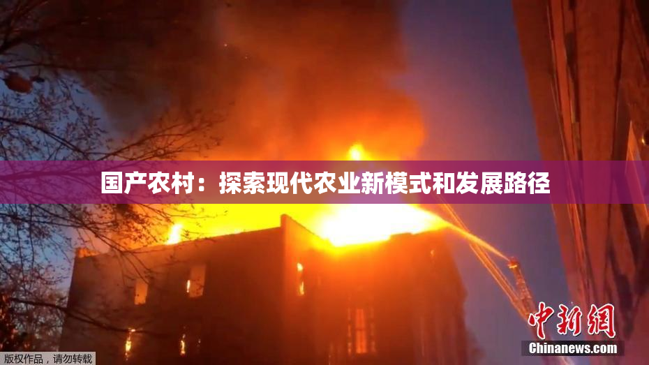 国产农村：探索现代农业新模式和发展路径