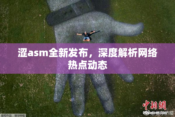 涩asm全新发布，深度解析网络热点动态