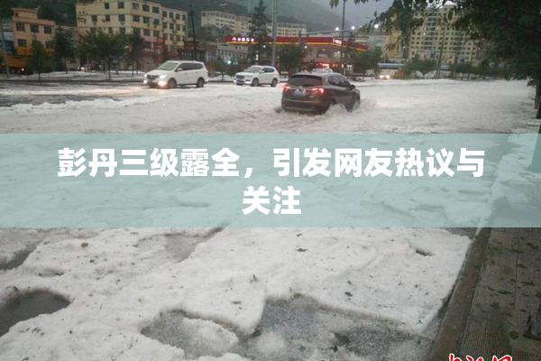 彭丹三级露全，引发网友热议与关注