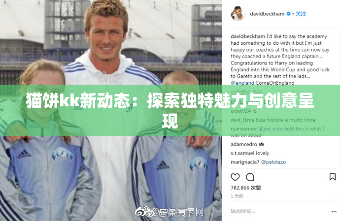 猫饼kk新动态：探索独特魅力与创意呈现